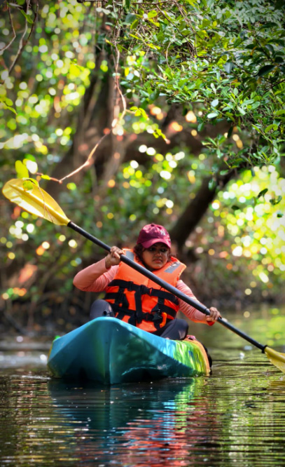 Activities at Vyga Heritage